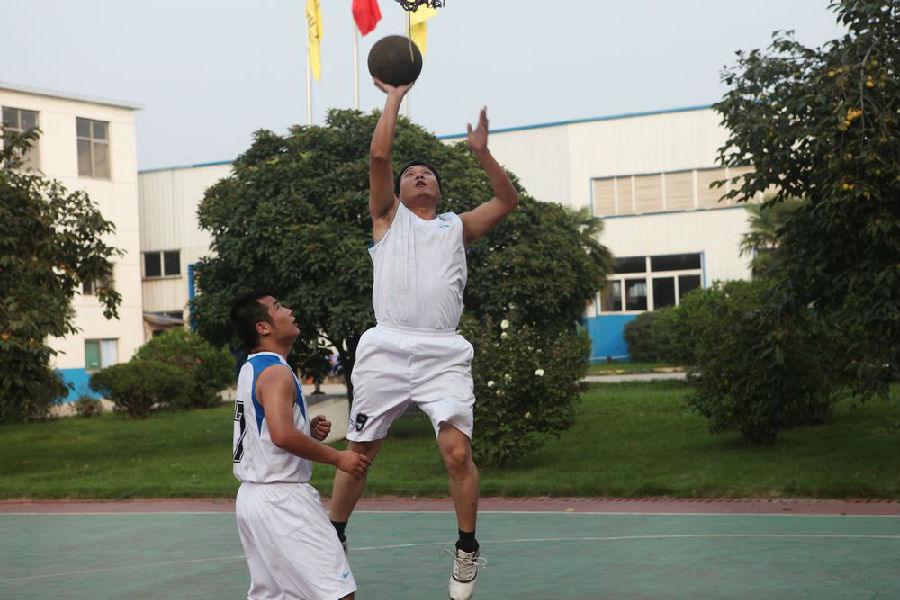 taptap点点体育集团篮球赛